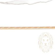 Bracelet - Or 14K jaune chevrons coupe diamant 4mm - BRG625