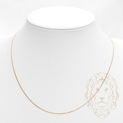 Chaîne - Or 10K jaune curb 0.8mm - CHG761