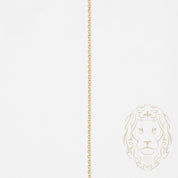 Chain - 10K Gold yellow cable 0.8mm - CHG760