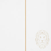 Chaîne - Or 10K jaune curb 0.8mm - CHG761