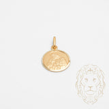 Pendentif - Or 10K jaune médaillon première communion - PEG745