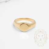 Bague - Or 10K jaune chevalière cercle 10mm - RIG809