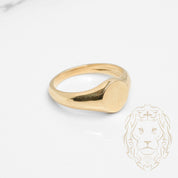 Bague - Or 10K jaune chevalière cercle 10mm - RIG809