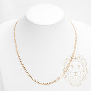 Chaîne - Or 10K jaune curb 3.7mm - CHG765