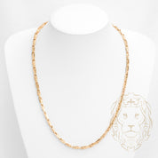 Chaîne - Or 10K jaune bullet motif méduse clé grecque 4.5mm - CHG767