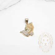Pendentif - Or 10K jaune mains en prière pavé de cz - PEG733