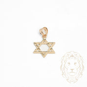 Pendentif - Or 14K jaune étoile de David coupe diamant - PEG838