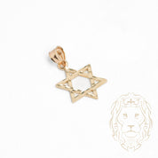 Pendentif - Or 14K jaune étoile de David coupe diamant - PEG838