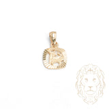 Pendentif - Or 10K jaune petit zodiaque Taureau coupe diamant - PEG812