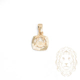 Pendentif - Or 10K jaune petit zodiaque Cancer coupe diamant - PEG814