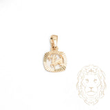 Pendentif - Or 10K jaune petit zodiaque Sagittaire coupe diamant - PEG819