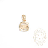 Pendentif - Or 10K jaune petit zodiaque Poissons coupe diamant - PEG822