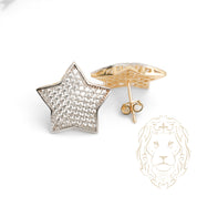 Studs - Or 10K deux tons jaune & blanc étoile pavé de cz - BOG924