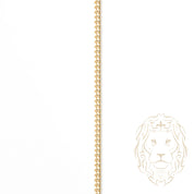 Chaîne - Or 10K jaune curb 1.6mm - CHG889