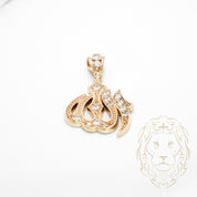 Pendentif - Or 10K jaune Allah serti de pierres cz - PEG894