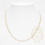 Chaîne - Or 10K jaune figaro 3.5mm - CHG910