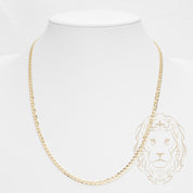 Chaîne - Or 10K jaune curb 3.6mm - CHG918