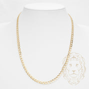 Chaîne - Or 10K jaune curb 4.9mm - CHG919