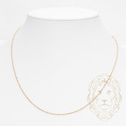 Chaîne - Or 10K jaune singapour 1mm - CHG925