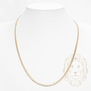 Chaîne - Or 10K jaune marin solide 3.6mm - CHG968