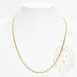 Chaîne - Or 10K jaune marin solide 3.6mm - CHG968