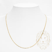 Chaîne - Or 10K jaune ultra curb solide 1.9mm - CHG972