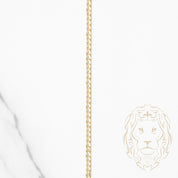 Chaîne - Or 10K jaune ultra curb solide 1.9mm - CHG972