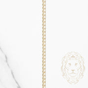 Chaîne - Or 10K jaune ultra curb solide 2.8mm - CHG973