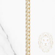 Chaîne - Or 10K jaune curb solide 6mm - CHG975