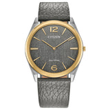 Citizen Suratto - AR3124-07H
