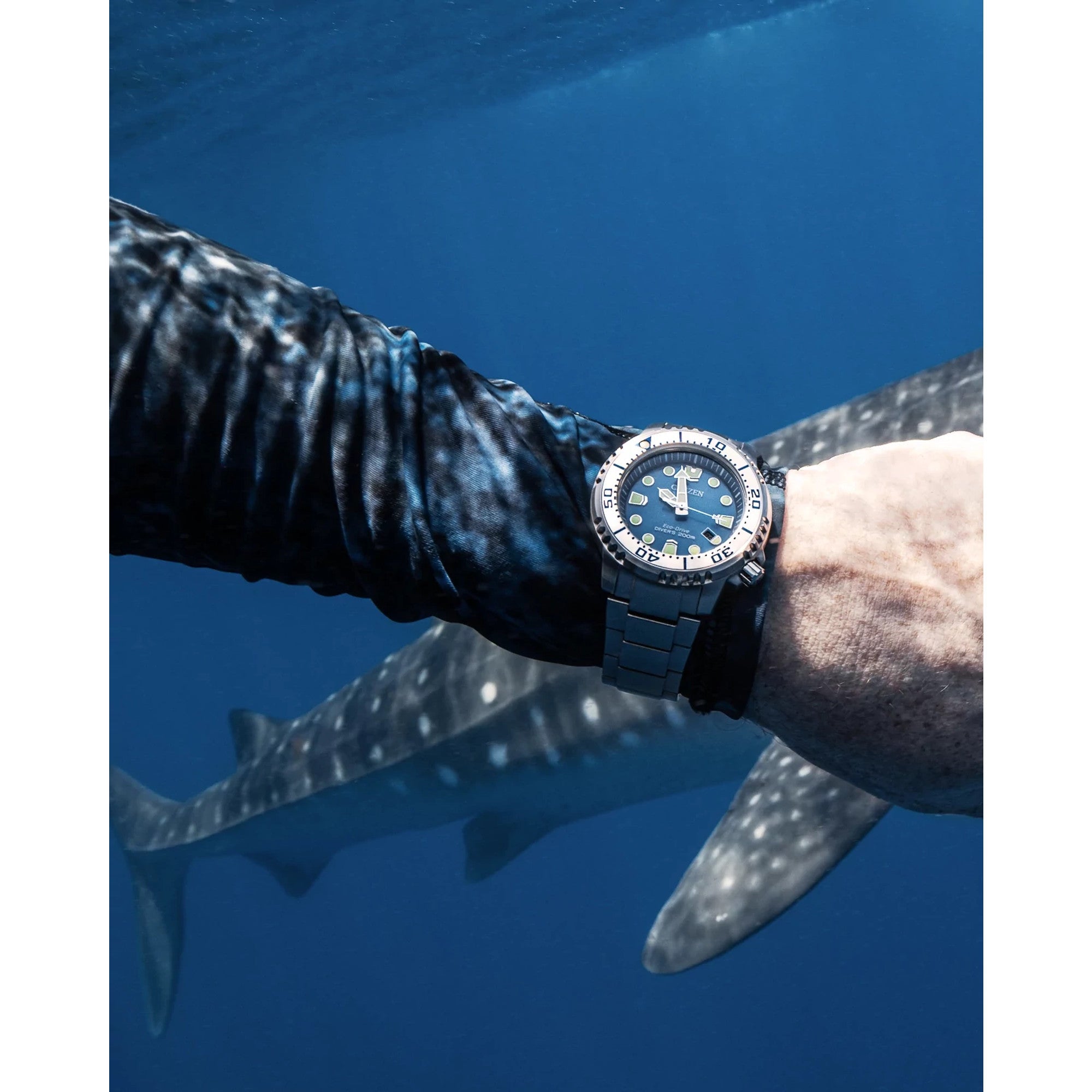 Citizen Promaster Dive BN0165-55L watch, blue dial, lifestyle