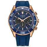 Citizen Endeavor Chrono - CA4733-00L