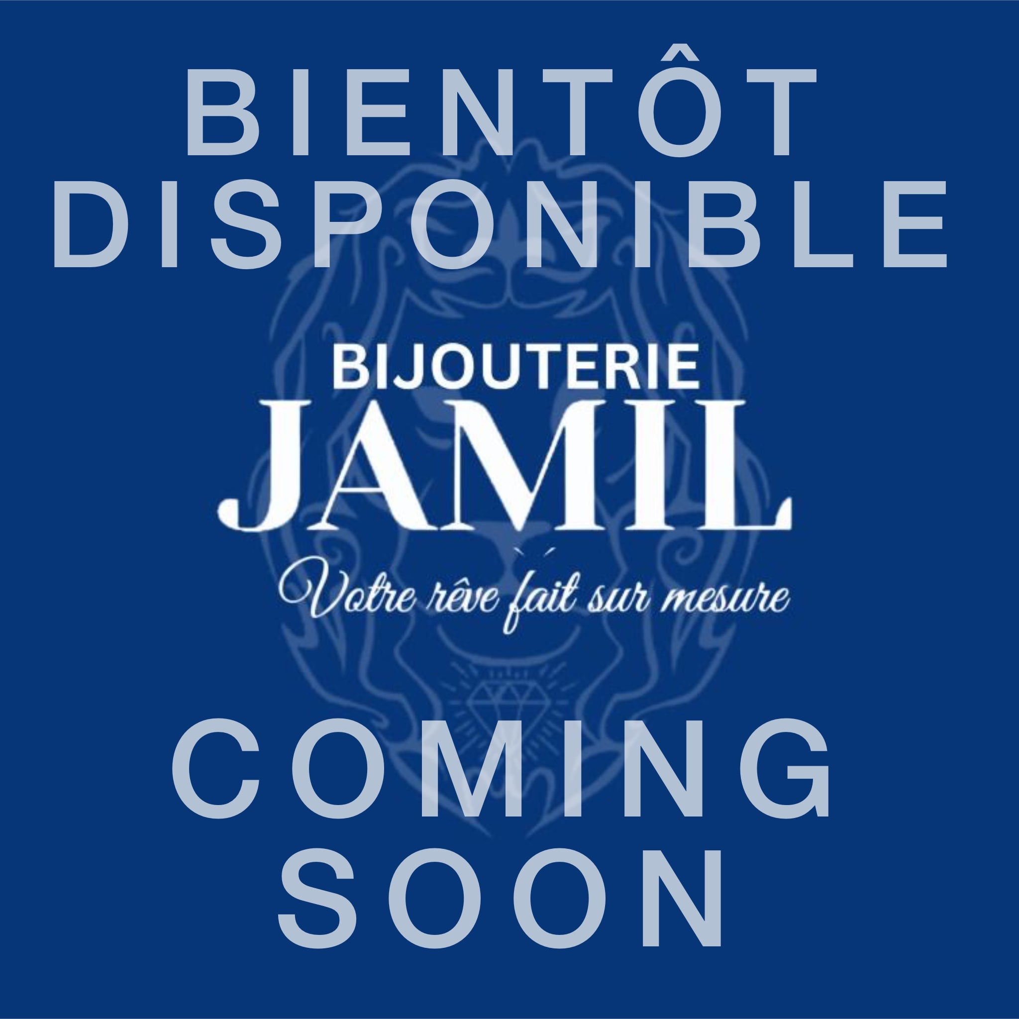 coming_soon_bjamil_2024.jpg