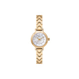 Fiori - 3982