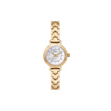 Fiori - 3982