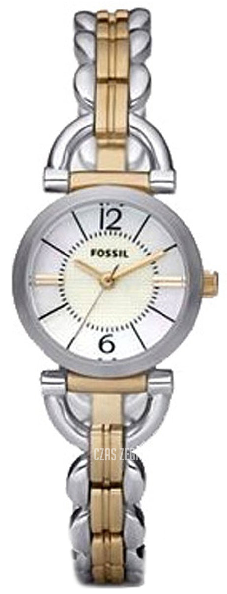 Fossil - ES2494