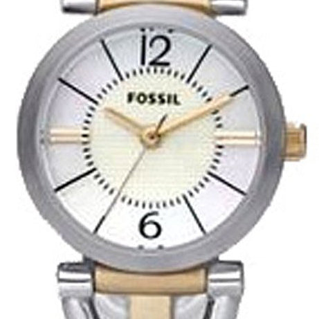 fossil-ES2494.jpg