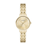 Skagen Anita Lille - SKW3127