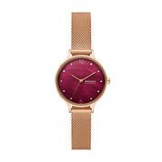 Skagen Anita Lille SKW3150 watch, mother-of-pearl dial, front view