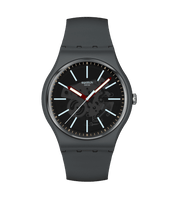 Montre Swatch Cobblestone Street SO29A101, cadran gris, vue de face