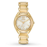 Citizen Eco-Drive - FE2072-89A